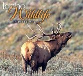 Idaho Wildlife Impressions