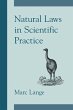 Natural Laws in Scientific Practice - Bild 1