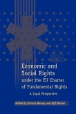 Economic and Social Rights Under the Eu Charter of Fundamental Rights