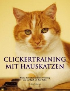 Clickertraining mit Hauskatzen - Amberger, Andrea