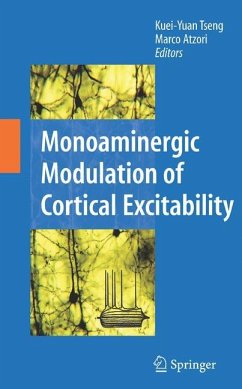Monoaminergic Modulation of Cortical Excitability - Tseng, Kuei-Yuan / Atzori, Marco (eds.)