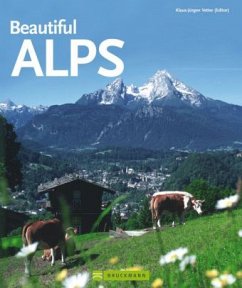 Cover Beautiful Alps