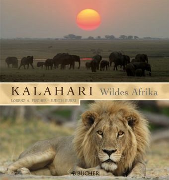 Kalahari, Wildes Afrika