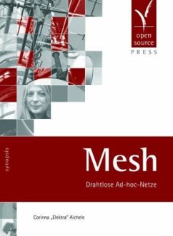 Mesh - Aichele, Corinna E.