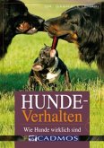 Hundeverhalten