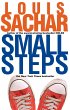 Small Steps - Bild 1