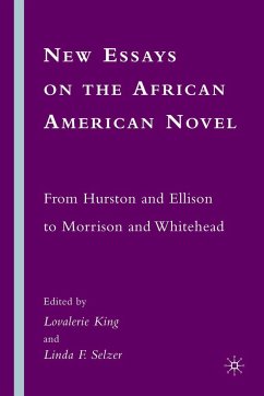 New Essays on the African American Novel