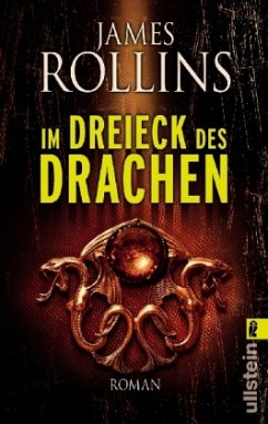 Cover Im Dreieck des Drachen
