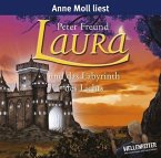 Laura und das Labyrinth des Lichts / Aventerra Bd.6 (4 Audio-CDs)