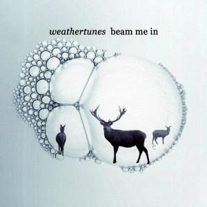 beam me in beam me in