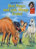 Drei Ponys und jede Menge Trubel / Das Pony-Trio