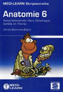 Anatomie - Bommas-Ebert, Ulrike
