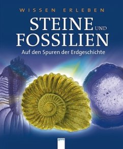 Cover Steine und Fossilien