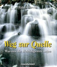 Weg zur Quelle - Leibrock, Felix