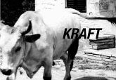 Kraft - Moc