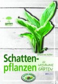 Schattenpflanzen für naturnahe Gärten Schattenpflanzen für naturnahe Gärten
