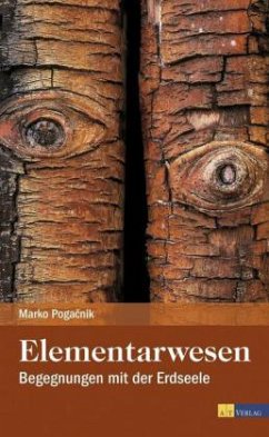 Cover Elementarwesen