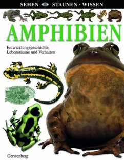 Amphibien