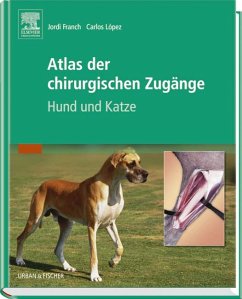 Atlas der chirurgischen Zugänge - Franch, Jordi / Lopez, Carlos