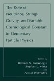 The Role of Neutrinos, Strings, Gravity, and Variable Cosmological Constant in Elementary Particle Physics