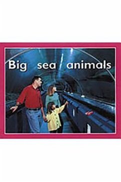 Big Sea Animals - Rigby