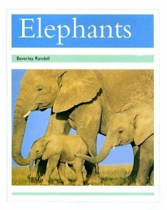 Elephants - Rigby