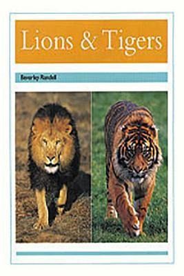Lions & Tigers
