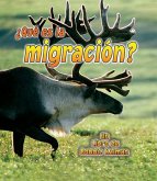 ¿Qué Es La Migración? (What Is Migration?)