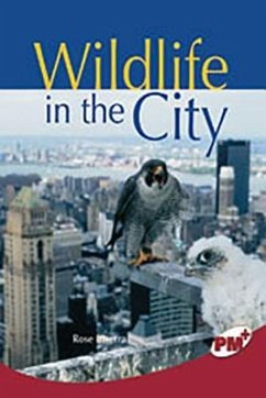 Wildlife in the City - Rigby Wildlife in the City - Rigby