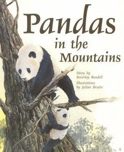 Pandas in the Mountains - Rigby