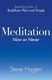 Meditation Now or Never