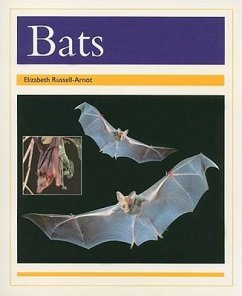 Bats - Rigby