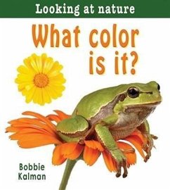 What Color Is It? - Kalman, Bobbie