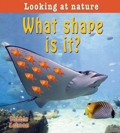 What Shape Is It? - Kalman, Bobbie