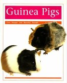 Pets: Guinea Pigs