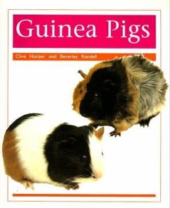 Pets: Guinea Pigs - Rigby