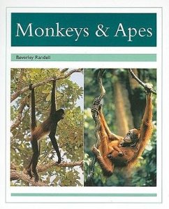 Monkeys & Apes - Rigby