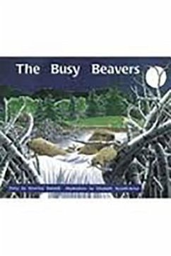 Cover The Busy Beavers