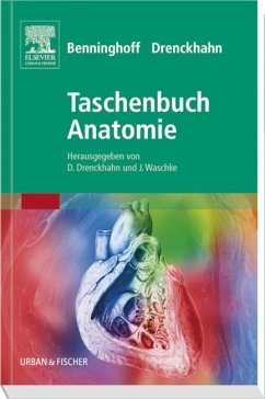 Benninghoff, Taschenbuch Anatomie - Drenckhahn, Detlev (Hrsg.)