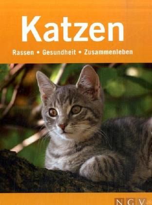 Katzen