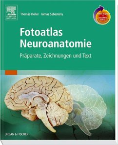 Fotoatlas Neuroanatomie - Deller, Thomas / Sebesteny, Tamas (Hgg.)