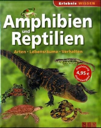 Amphibien und Reptilien Amphibien und Reptilien