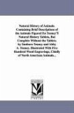 Natural History of Animals. Containing Brief Descriptions of the Animals Figured En Tenney'S Natural History Tablets, But Complete Without the Tablets. by Sanborn Tenney and Abby A. Tenney. Illustrated With Five Hundred Wood Engravings, Chiefly of North Am