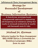 Strategy for Successful Development of Information Systems