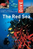Dive the Red Sea: Complete Guide to Diving and Snorkeling