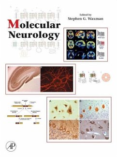 Molecular Neurology - Waxman, Stephen