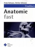 Anatomie fast