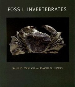 Fossil Invertebrates - Taylor, Paul D; Lewis, David N