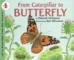 From Caterpillar to Butterfly - Heiligman, Deborah