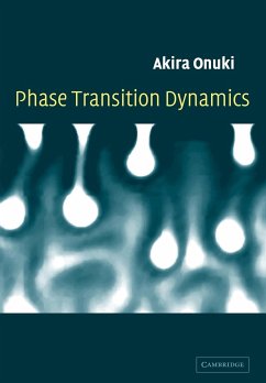Phase Transition Dynamics - Onuki, Akira